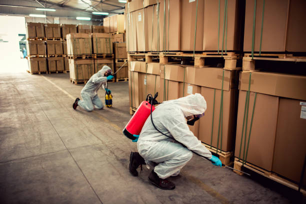 Best Pest Removal Services  in Punta Gorda, FL
