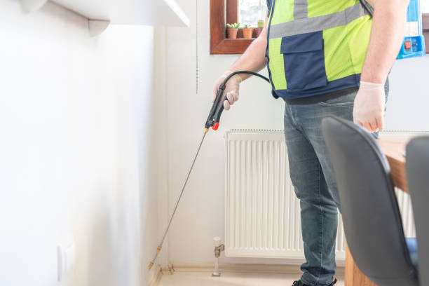 Best Termite Control Services  in Punta Gorda, FL
