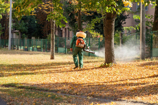 Reliable Punta Gorda, FL Pest Control Solutions